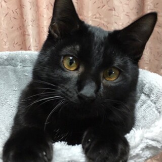 美人のアンちゃん綺麗な瞳に吸い込まれちゃう