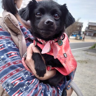 第二の犬生はとびっきり幸せに♡“オレオちゃん”