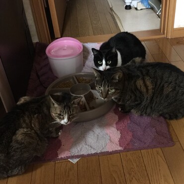メリークリスマス♪ プレゼントは家族団欒♡