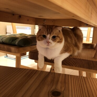 の写真