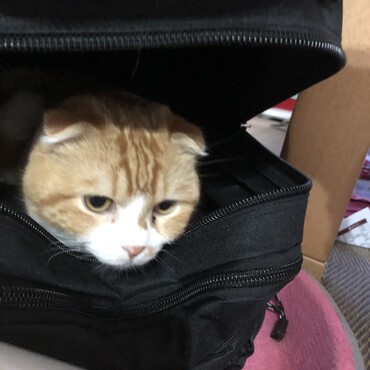 の写真