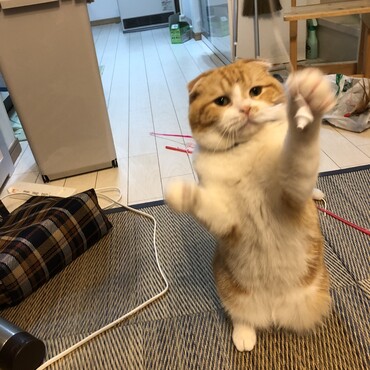 の写真