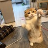 の写真