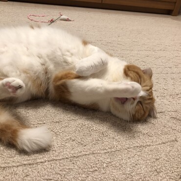 の写真