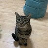 きしだんでぃ