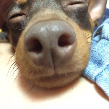 …眠い