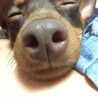 …眠い