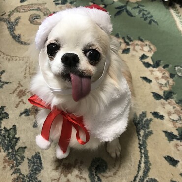 みんなの靴下に愛と幸せをたくさんお届けしたよ♡私は今日は朝から元気なんだ〜(^-^)あざみ