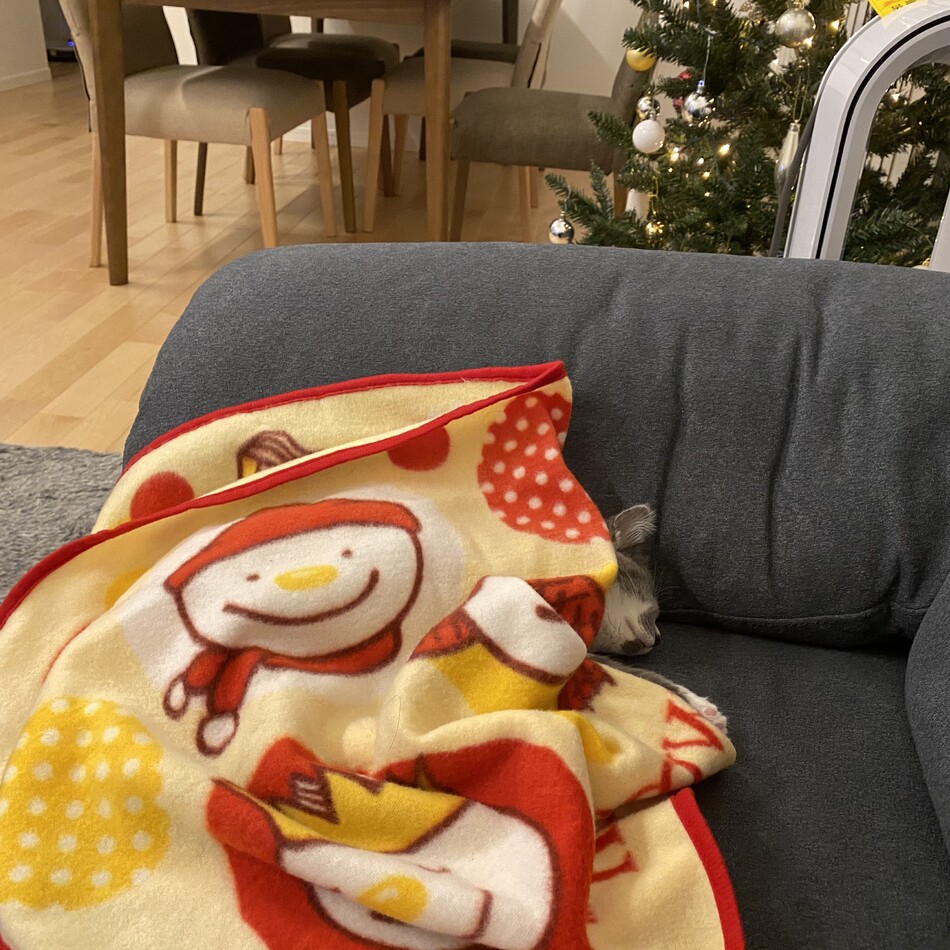 しぐれのカバー写真