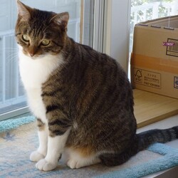 もうすぐお正月ですが・・・