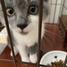 おうちに来て３日目の朝