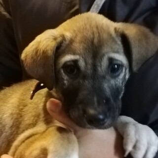 幸せにして下さる方を探しています