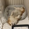 ベッドの使い方〜！笑