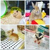 ダクト職人さん