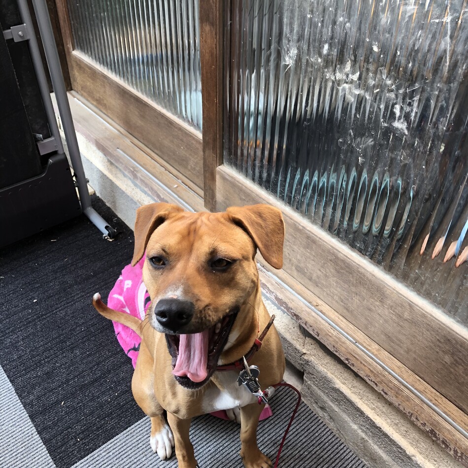 イーディのカバー写真