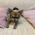 申し込み多数のため募集を一時中止します