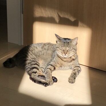 日向ぼっこ