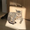 日向ぼっこ