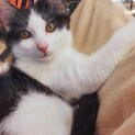 「デール君」ベルちゃんと甘えん坊兄妹です