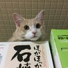 の写真