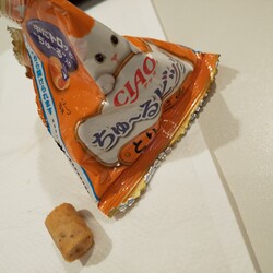 「トライ＆エラー（投薬①）」サムネイル2