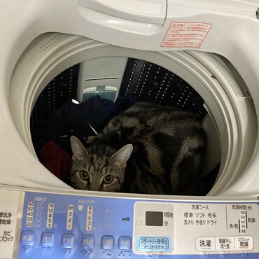 海ちゃん？