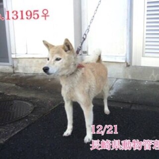 飼い主さん引き取りに来られました！