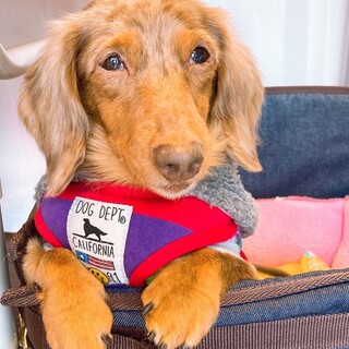 とにかく甘えん坊の女の子