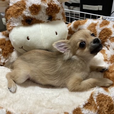 の写真