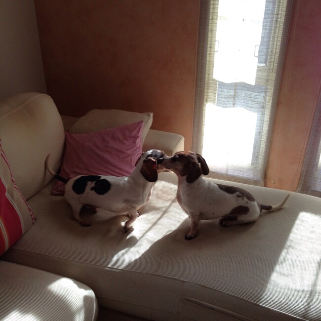 shantimdkのカバー写真