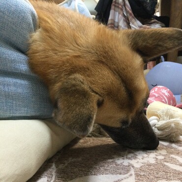 の写真