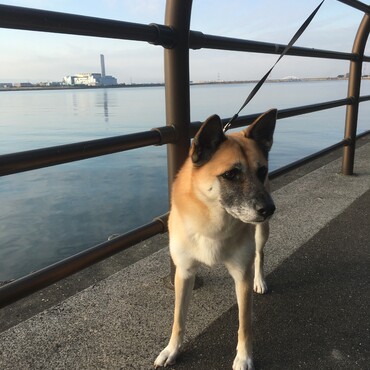の写真