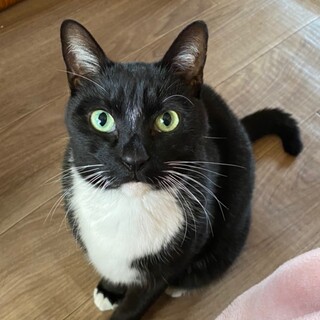 多頭崩壊前のレスキューです！