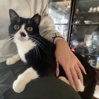 多頭崩壊前のレスキューです。