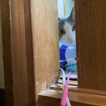 誰かいるわね？気になる‥