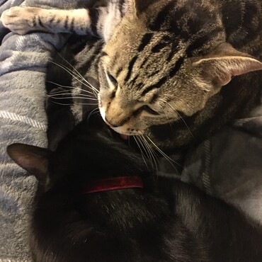 仲良いとき♡