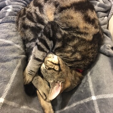 すごい体勢だねぇ、海ちゃん♡