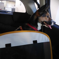 「琳　1年と９ヶ月」サムネイル1