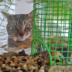 8ヶ月経ちました