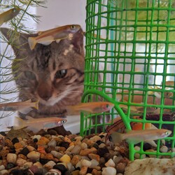 「8ヶ月経ちました」サムネイル2