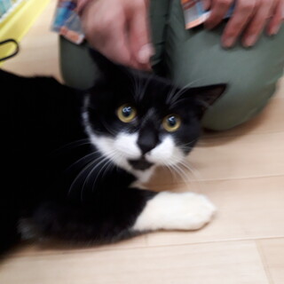 個性的なお顔の穏やかな男の子