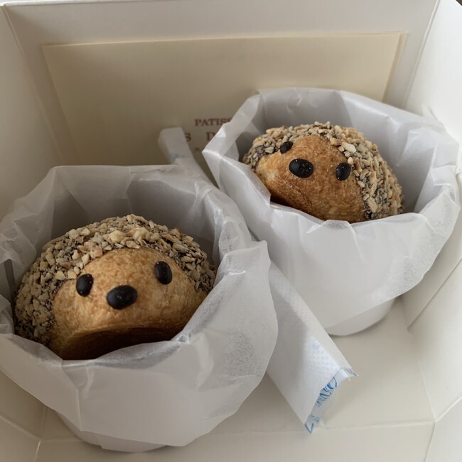 stmyのカバー写真