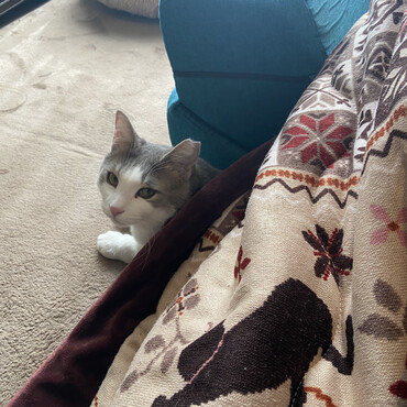 おこたも気に入ってもらえました