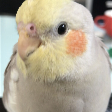 の写真