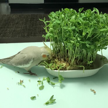 の写真
