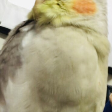 の写真