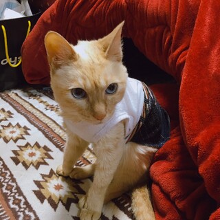 まりあちゃんの幸せを願っています。