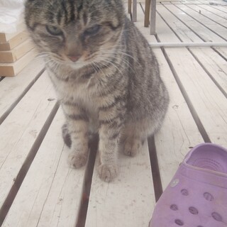 どなたかお願いします