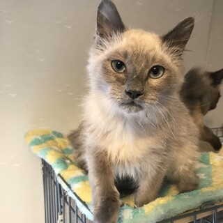 甘えんぼのきりやくん♪