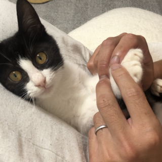 甘えん坊で元気いっぱい男の子